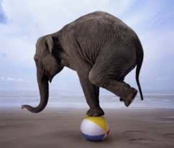 An elephant standing on a ball